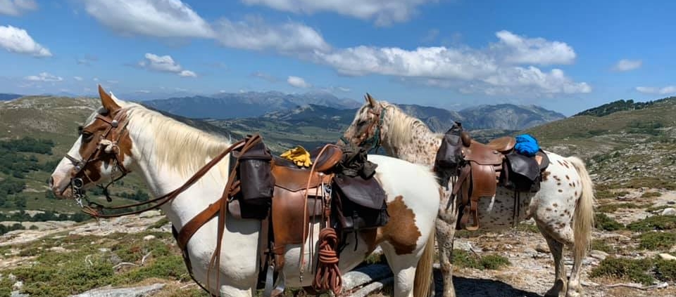 I CHJASSI DI L'ALTAGNA Chevaux et paysage