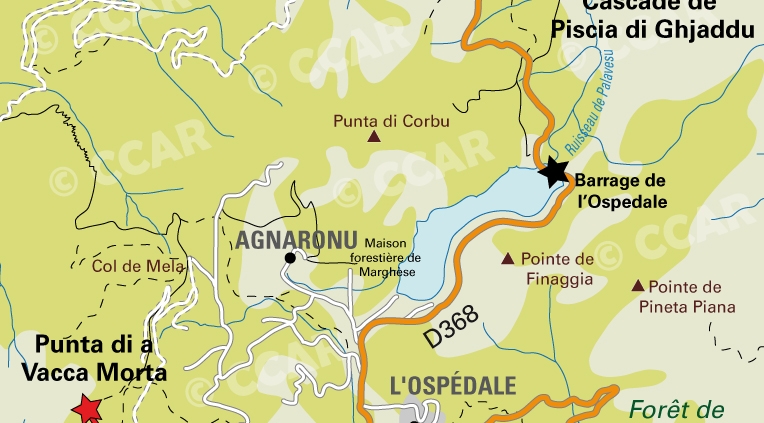 Carte Randonnées en forêt d'Ospedale